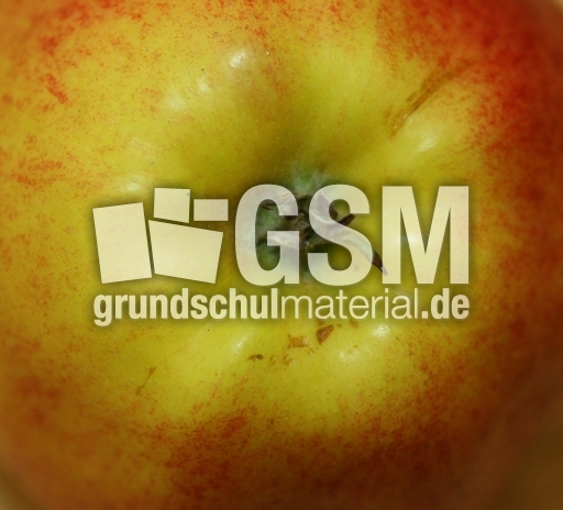 Apfel-Blütenrest-2.jpg